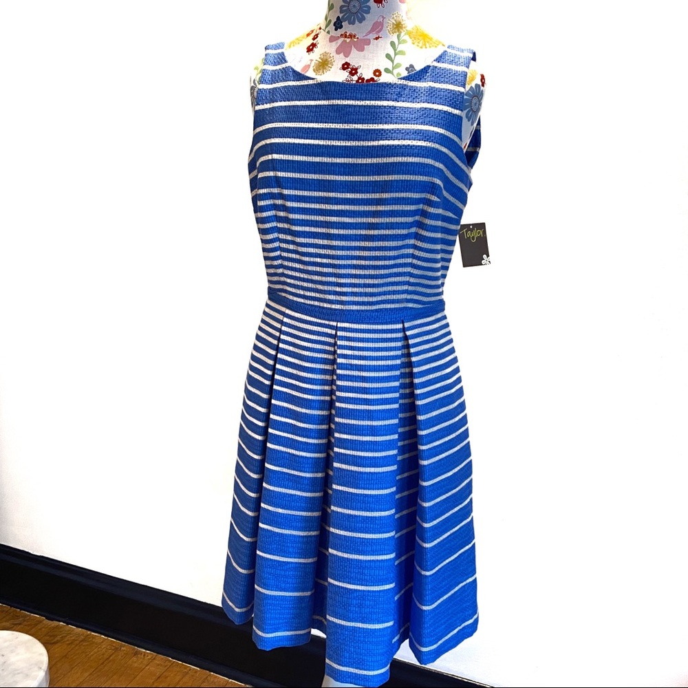 Taylor Striped Wide Pleat Tank Dress with Pockets - Picture 2 of 10